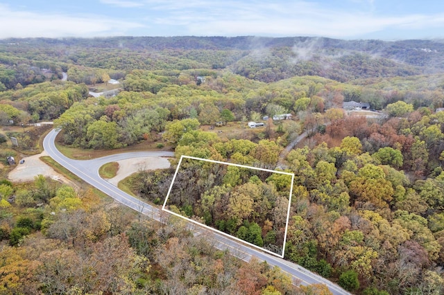 Tbd State Highway Oo, Reeds Spring, MO 65737 - photo 1