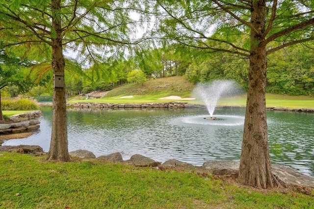 property view of water