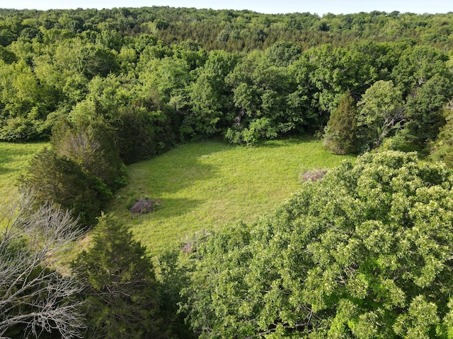 24012 County Road 308, Pittsburg, MO 65724