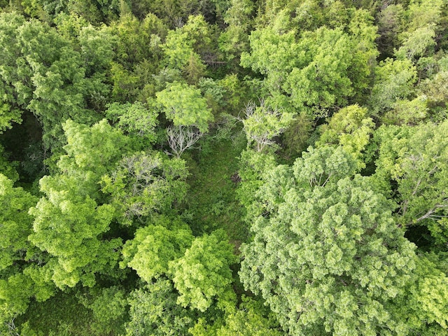 24012 County Road 308, Pittsburg, MO 65724