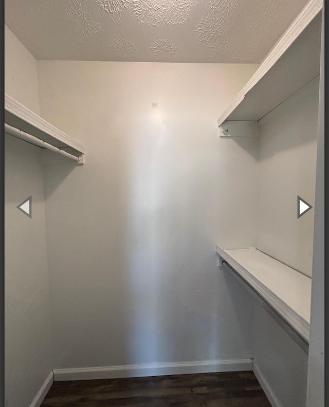 spacious closet with dark wood finished floors