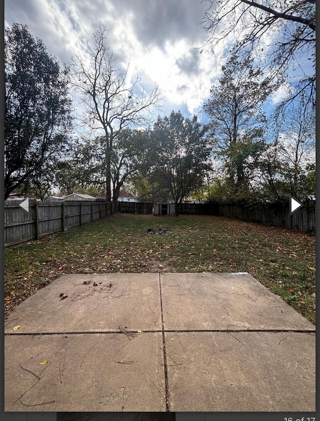 view of yard featuring a fenced backyard and a patio area