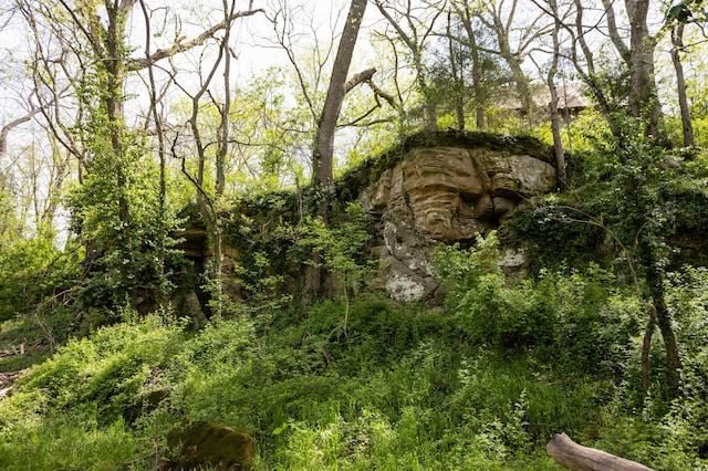 4940 Sellers Ford Rd, Hartville, MO 65667 - view of local wilderness