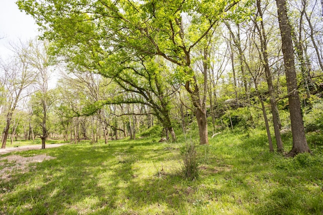 4940 Sellers Ford Rd, Hartville, MO 65667 - view of yard with a forest view