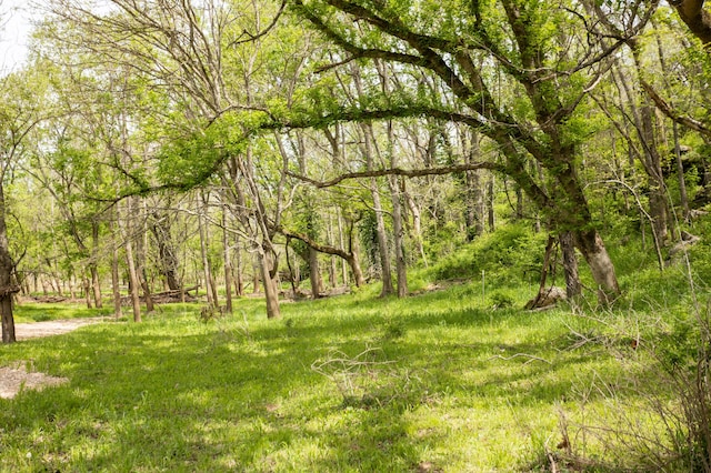4940 Sellers Ford Rd, Hartville, MO 65667 - view of yard featuring a wooded view