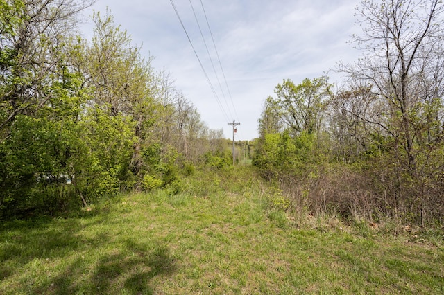 4940 Sellers Ford Rd, Hartville, MO 65667 - view of nature