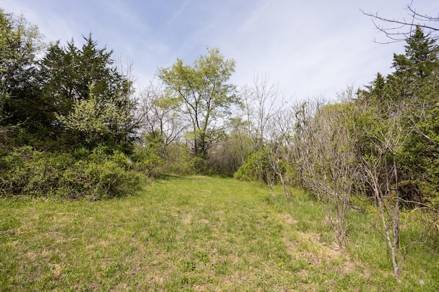 4940 Sellers Ford Rd, Hartville, MO 65667 - view of yard with a view of trees