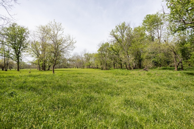 4940 Sellers Ford Rd, Hartville, MO 65667 - view of yard