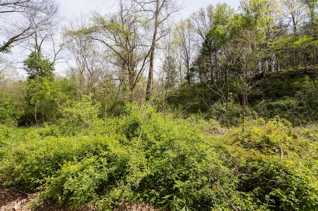 4940 Sellers Ford Rd, Hartville, MO 65667 - view of landscape featuring a wooded view