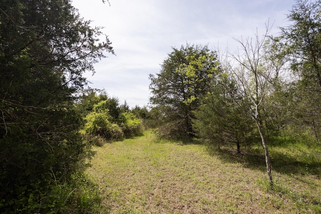 4940 Sellers Ford Rd, Hartville, MO 65667 - view of nature