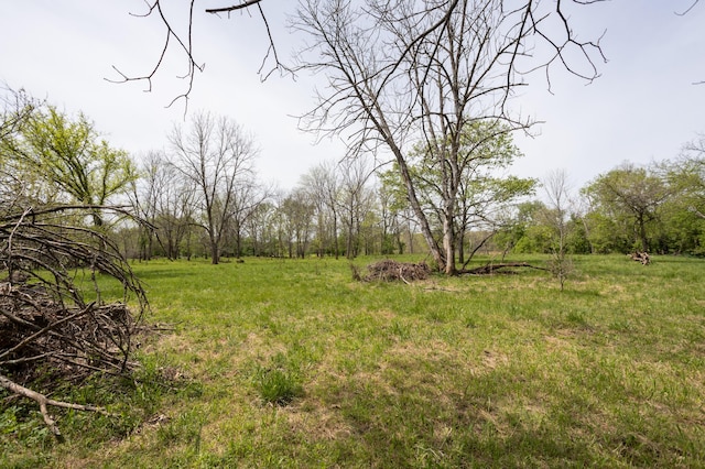4940 Sellers Ford Rd, Hartville, MO 65667 - view of yard