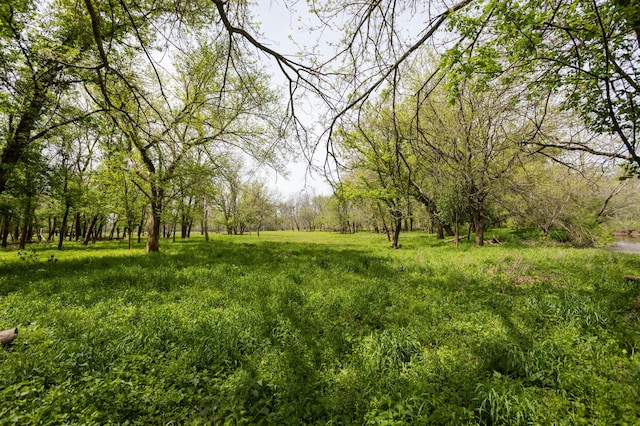 4940 Sellers Ford Rd, Hartville, MO 65667 - view of nature featuring a forest view