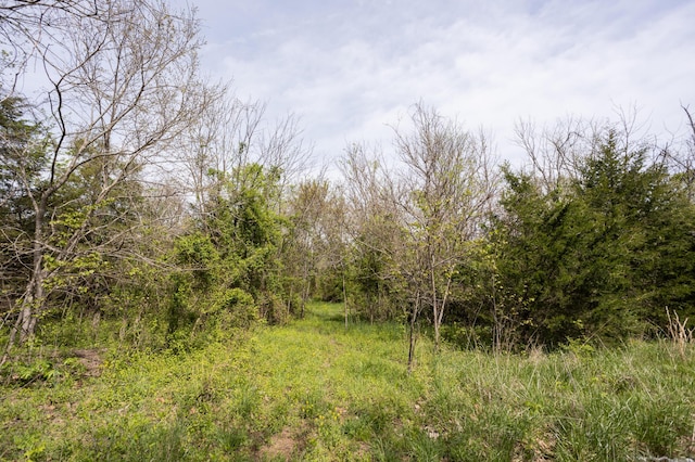 4940 Sellers Ford Rd, Hartville, MO 65667 - view of local wilderness