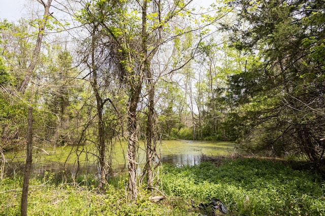 4940 Sellers Ford Rd, Hartville, MO 65667 - water view with a wooded view