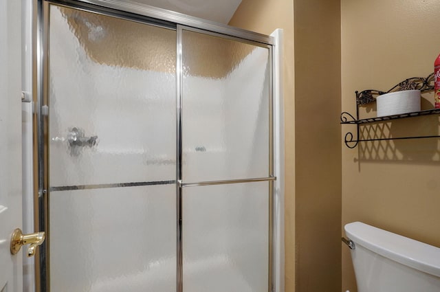 bathroom with toilet and a stall shower