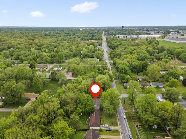 bird's eye view