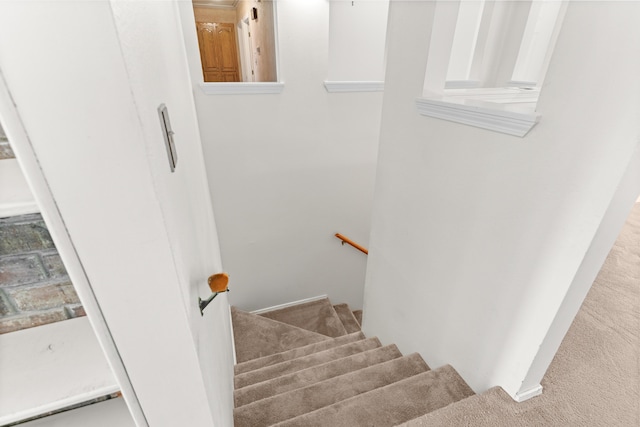 stairs featuring carpet floors