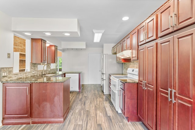 kitchen with a sink, white appliances, stone countertops, tasteful backsplash, and under cabinet range hood
