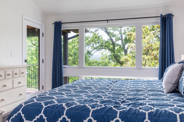 bedroom with access to exterior