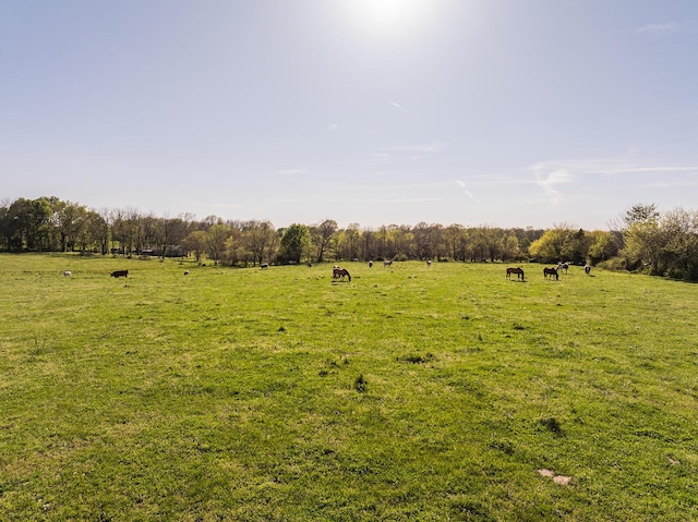 000 N Farm Road 91, Willard, MO 65781