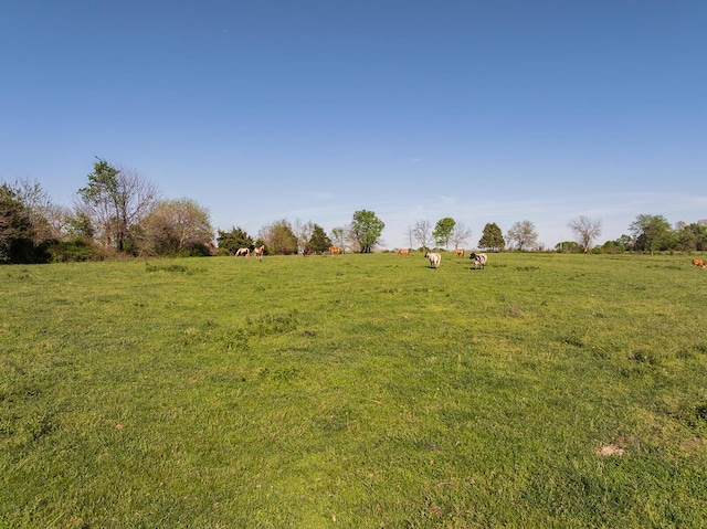000 N Farm Road 91, Willard, MO 65781