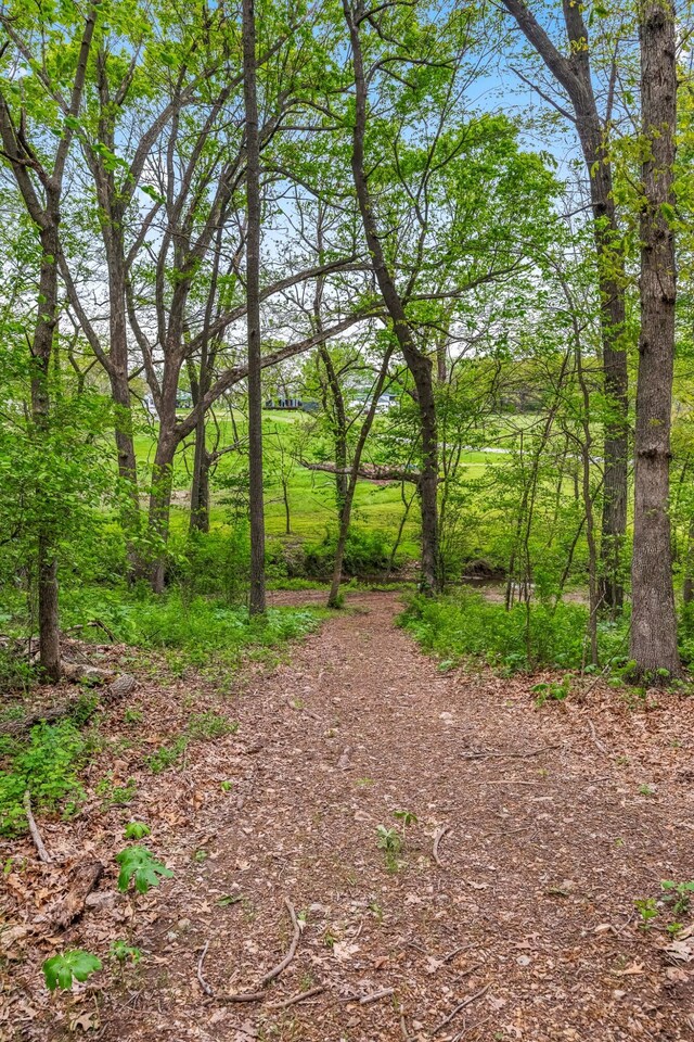 view of local wilderness