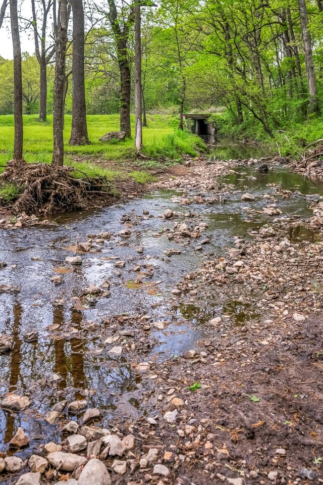 view of nature