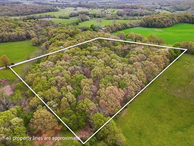 bird's eye view with a view of trees
