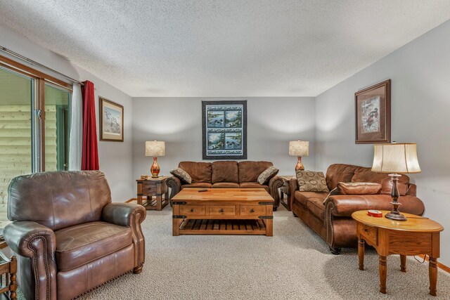 living room with carpet floors and a textured ceiling