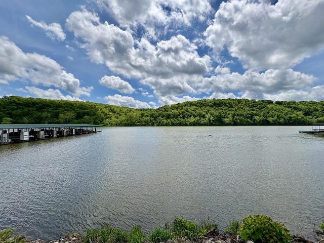 view of water feature with a dock and a wooded view
