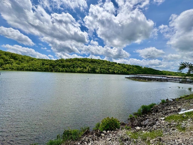 property view of water featuring a wooded view