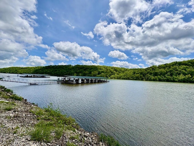 property view of water with a view of trees and a floating dock