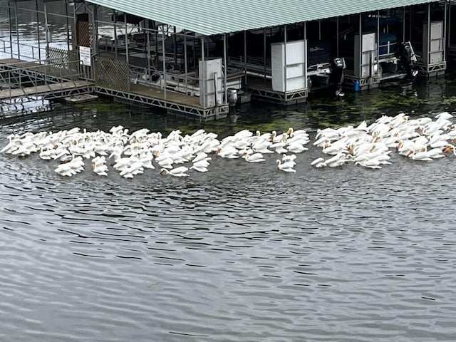 dock area featuring a water view