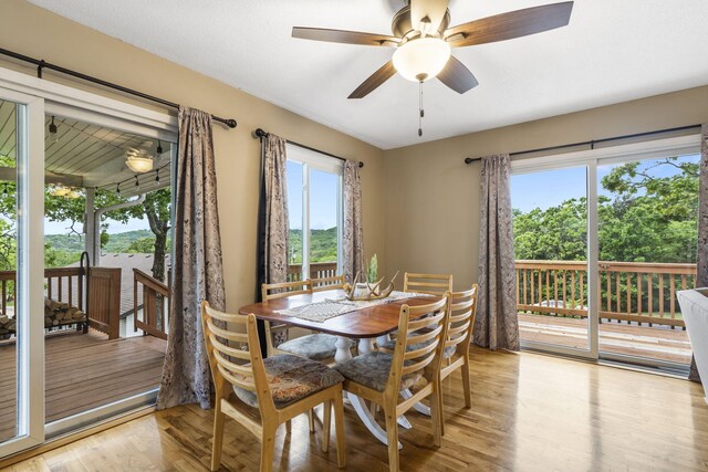 106 S Lakeshore Dr, Blue Eye, MO 65611 - photo 13