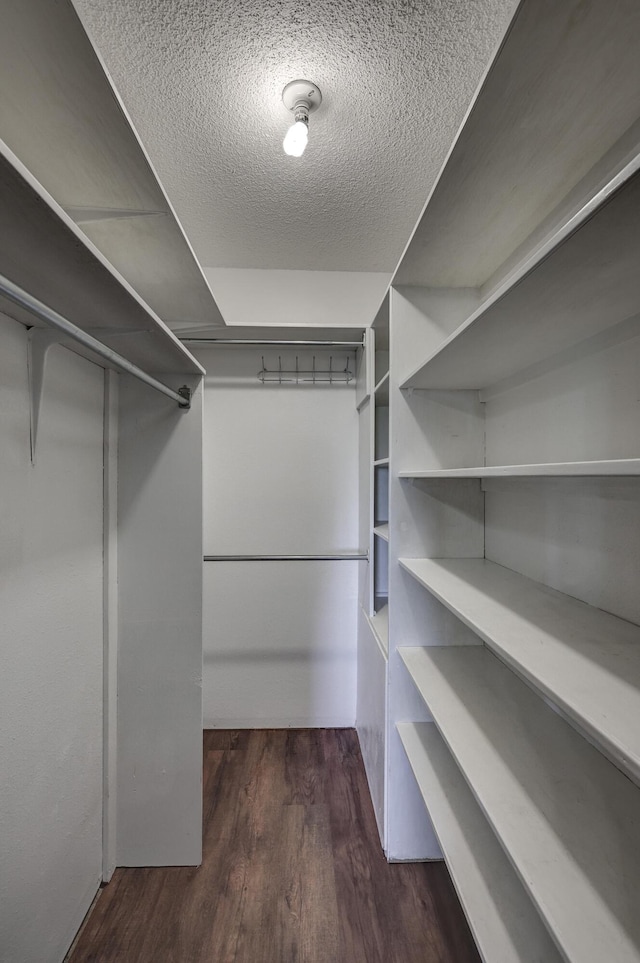 spacious closet featuring wood finished floors