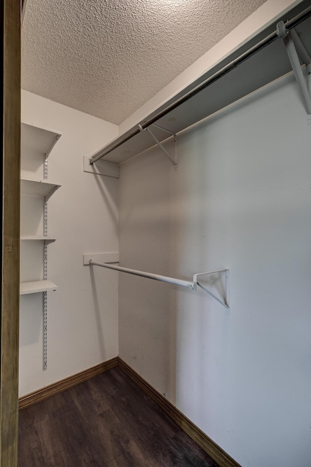 spacious closet with dark wood finished floors