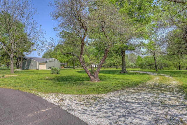 view of yard with driveway