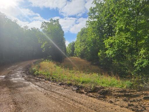 Tbd County Road 804, Gainesville, MO 65655 - photo 1