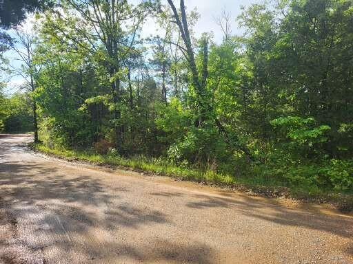 Tbd County Road 804, Gainesville, MO 65655 - photo 2