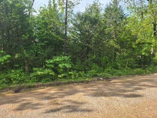 Tbd County Road 804, Gainesville, MO 65655 - photo 3