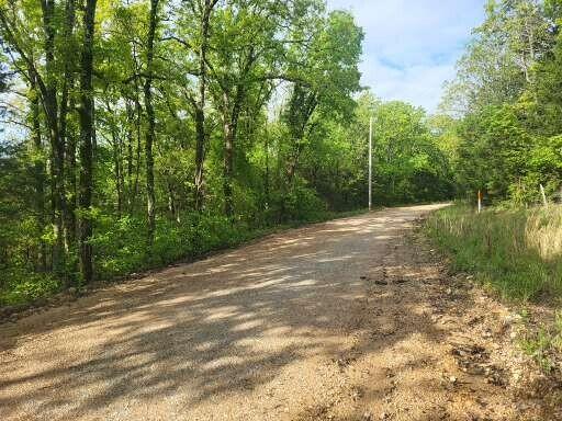Tbd County Road 804, Gainesville, MO 65655 - photo 5
