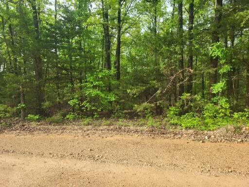 Tbd County Road 804, Gainesville, MO 65655 - photo 8