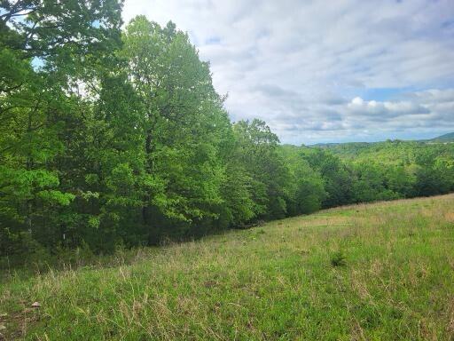 Tbd County Road 804, Gainesville, MO 65655 - photo 9