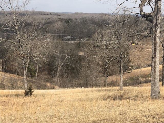 000 Farm Rd Unit 2250, Golden, MO 65658