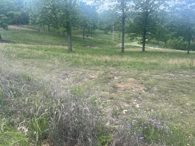 000 Farm Rd Unit 2250, Golden, MO 65658