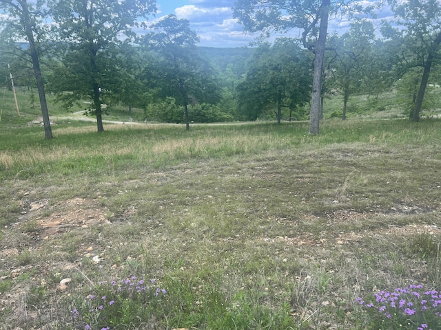 000 Farm Rd Unit 2250, Golden, MO 65658
