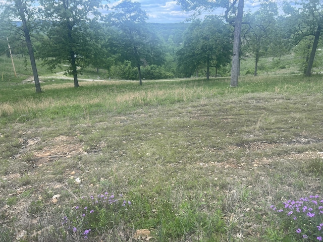 000 Farm Rd Unit 2250, Golden, MO 65658