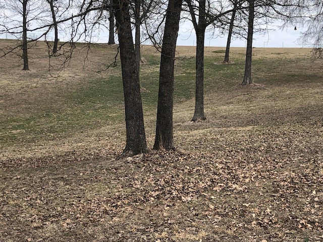 000 Sunset Ln, Golden, MO 65658