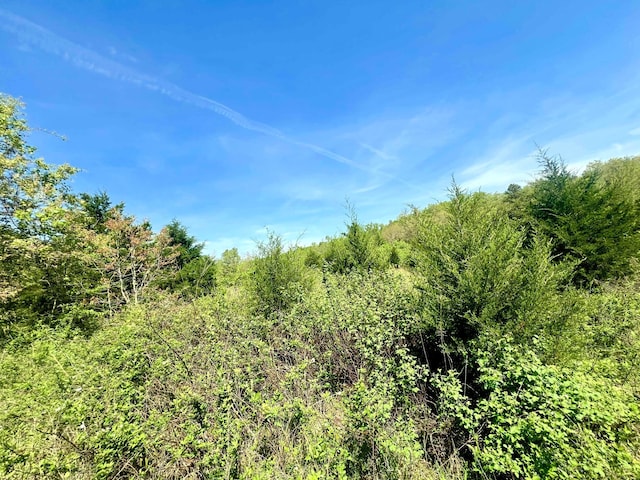 000 Dd 585, Winona, MO 65588