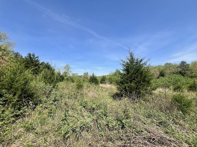 000 Dd 585, Winona, MO 65588